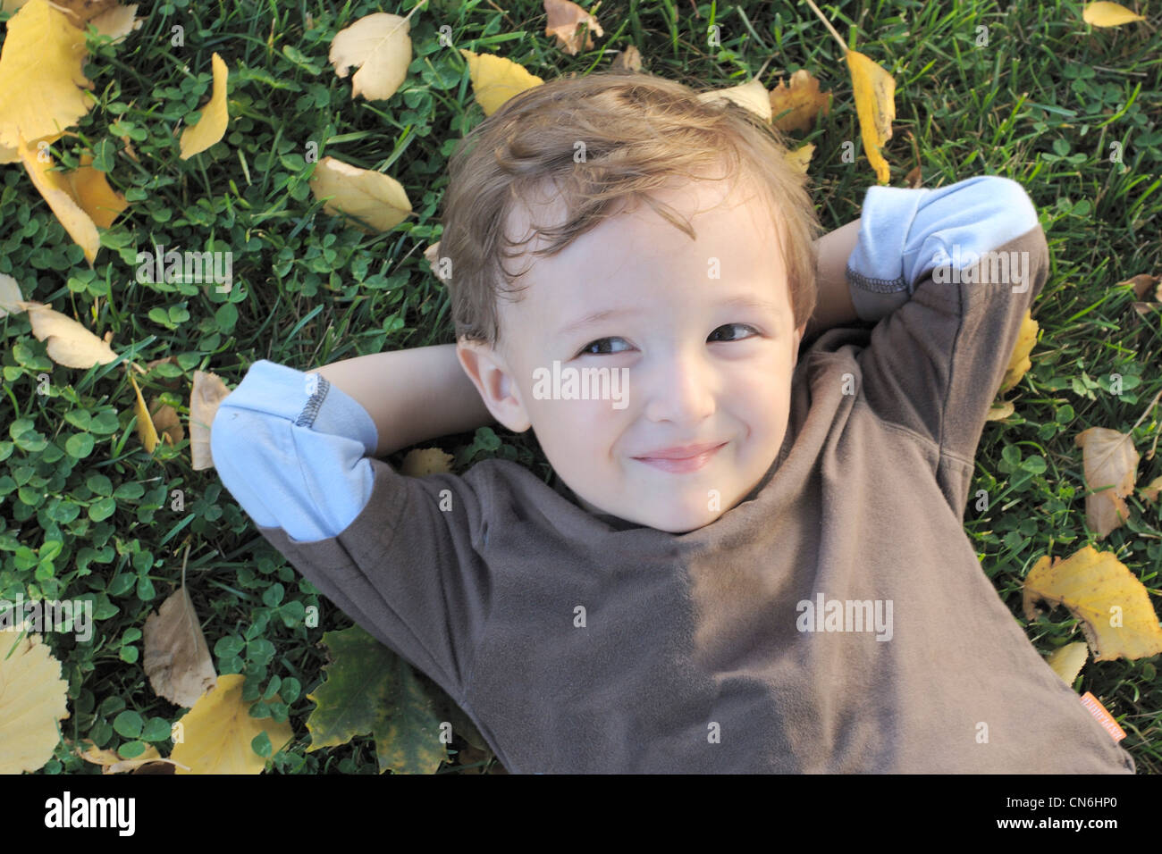 Young Boy Verlegung auf Rasen umgeben von Autumn Leaves, Toronto, Ontario Stockfoto