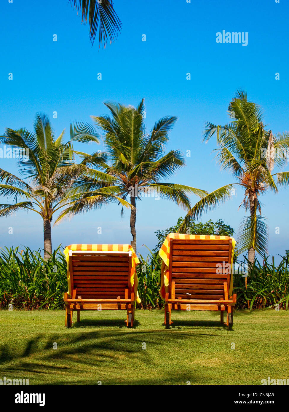 Liegestühle am grünen Rasen Bali Indonesien Stockfoto