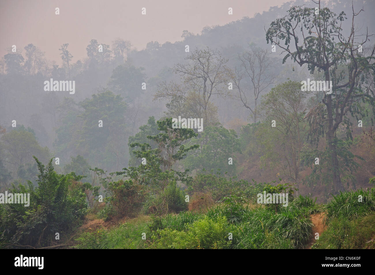 Flusslandschaft im Maetaman Elephant Camp in der Nähe von Chiang Mai, Provinz Chiang Mai, Thailand Stockfoto