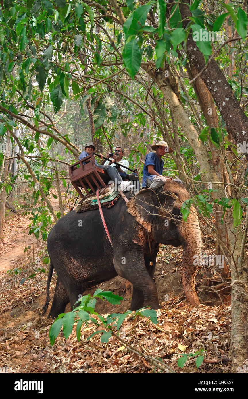 Elefant Hügel wandern im Maetaman Elephant Camp in der Nähe von Chiang Mai, Provinz Chiang Mai, Thailand Stockfoto