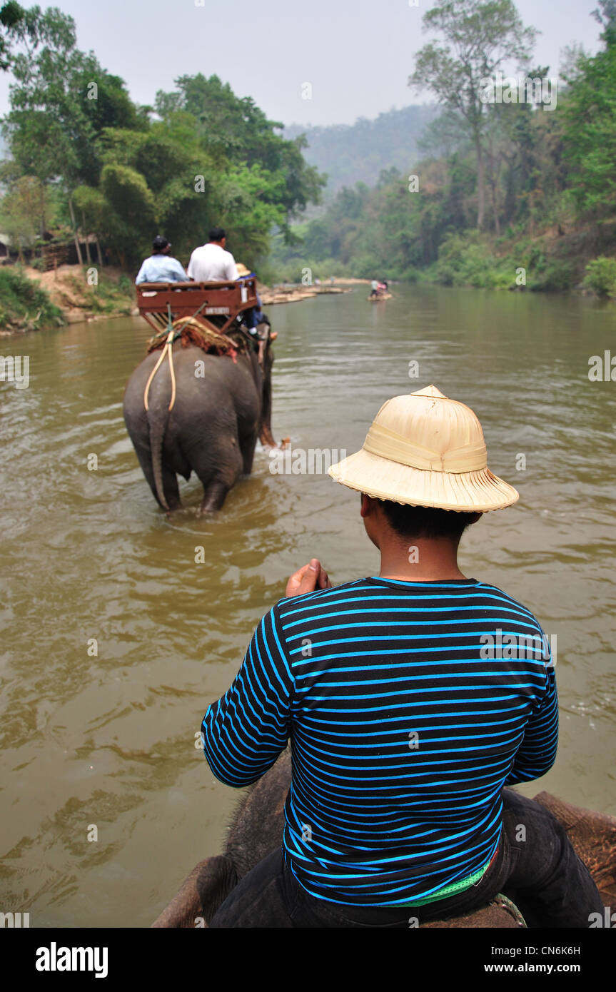 Elefant-Fluss trek Maetaman Elephant Camp in der Nähe von Chiang Mai, Provinz Chiang Mai, Thailand Stockfoto