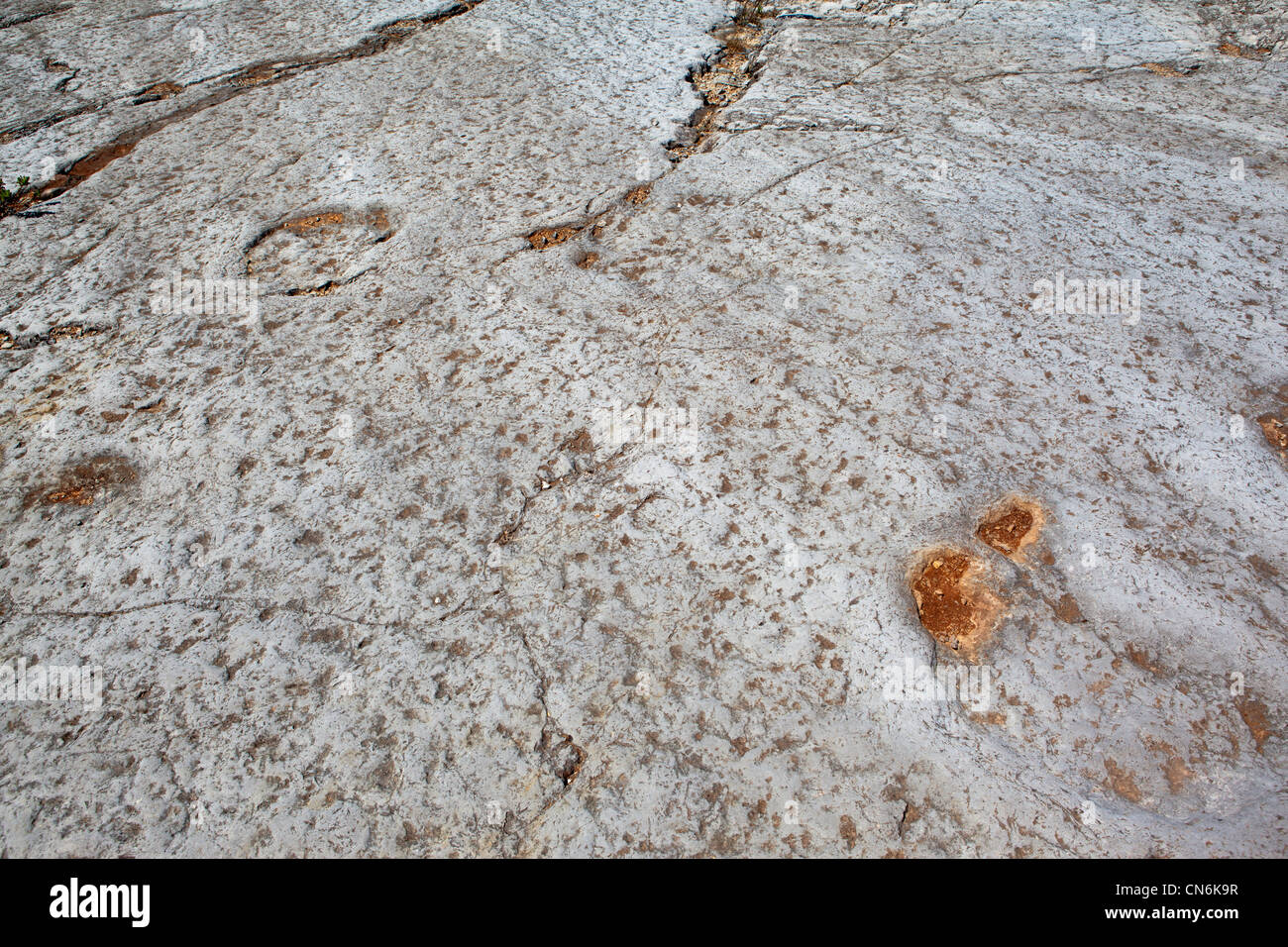 Dinosaurier-Fußspuren, Serras de Aire e Candeeiros, Portugal Stockfoto
