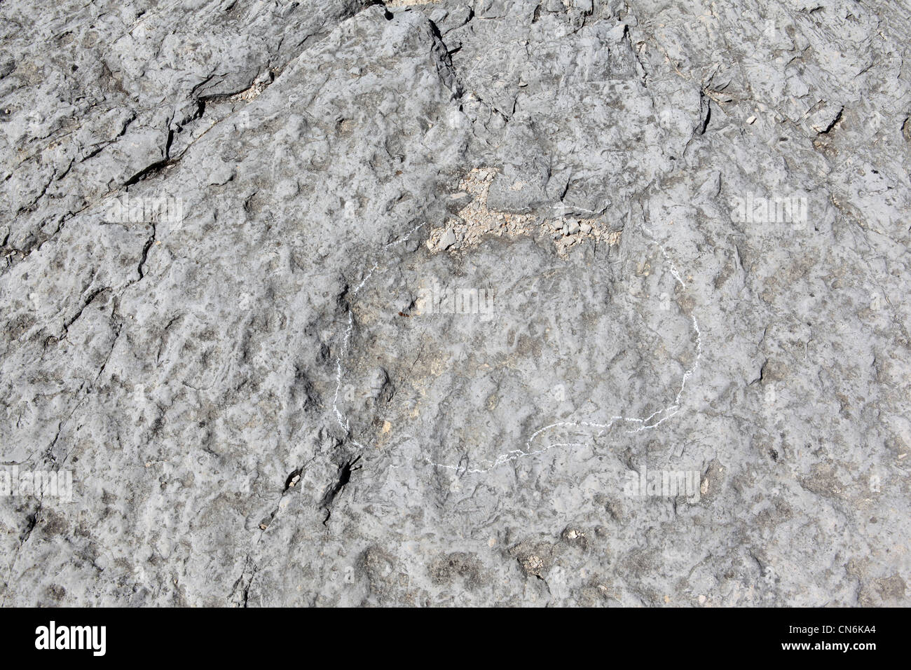 Dinosaurier-Fußspuren, Serras de Aire e Candeeiros, Portugal Stockfoto