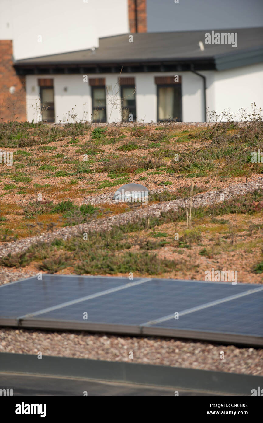 Neubau von Sozialwohnungen mit Sonnenkollektoren und einem grünen Dach Stockfoto