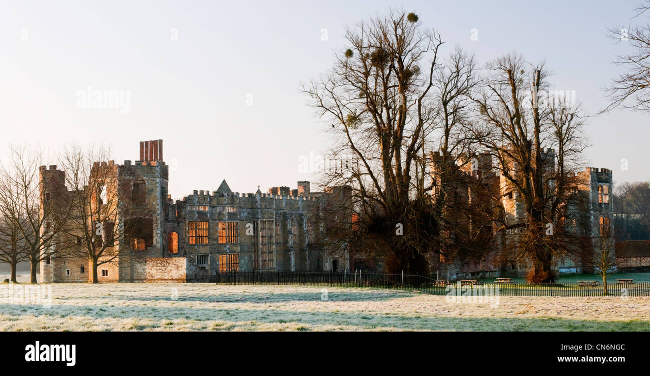 Die Ruinen von Cowdray Castle im Cowdray Park, Midhurst, West Sussex im frühen Morgen mit Frost auf den Boden und Kalk Bäumen Stockfoto
