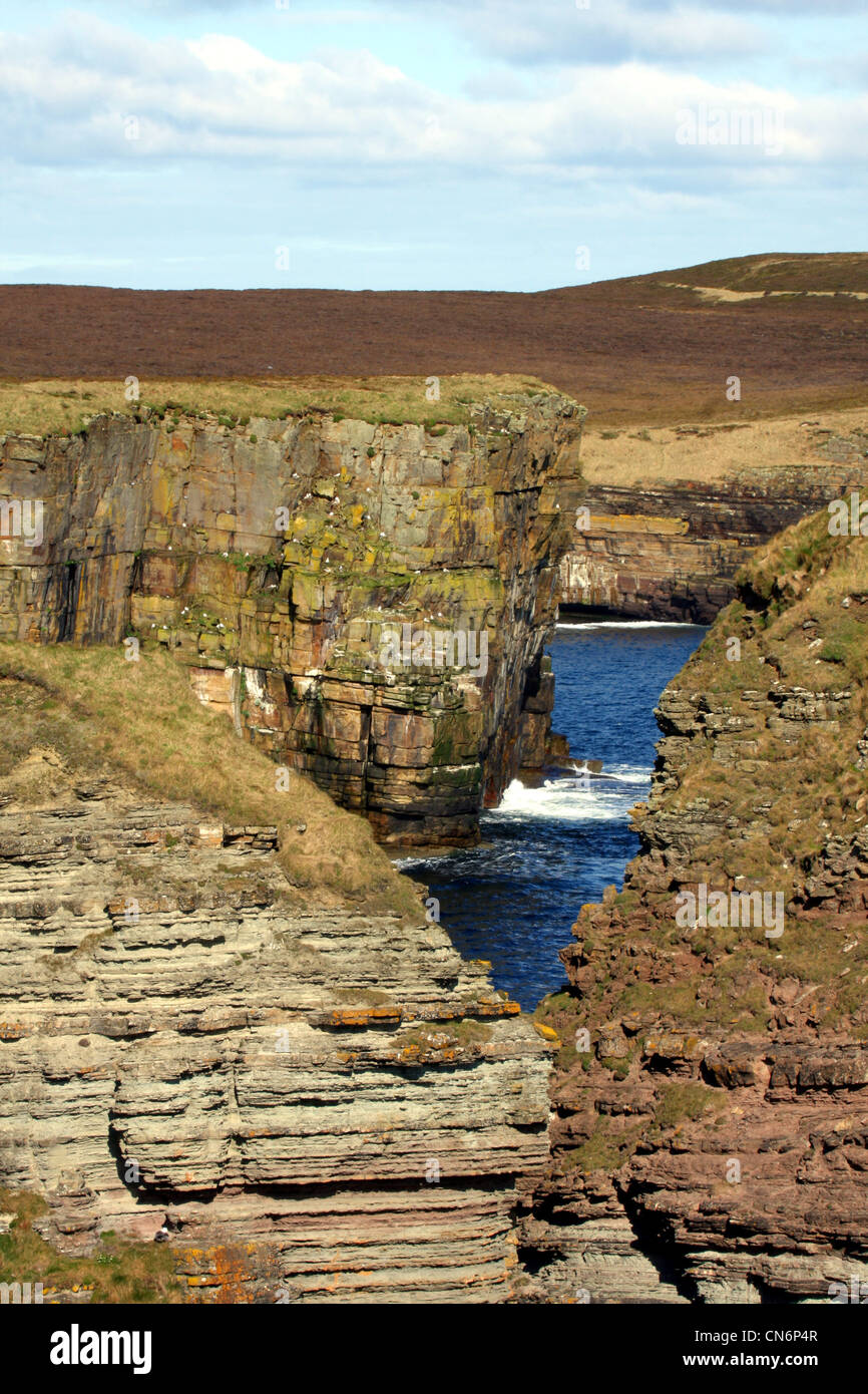 Klippen auf Orkney, UK Stockfoto