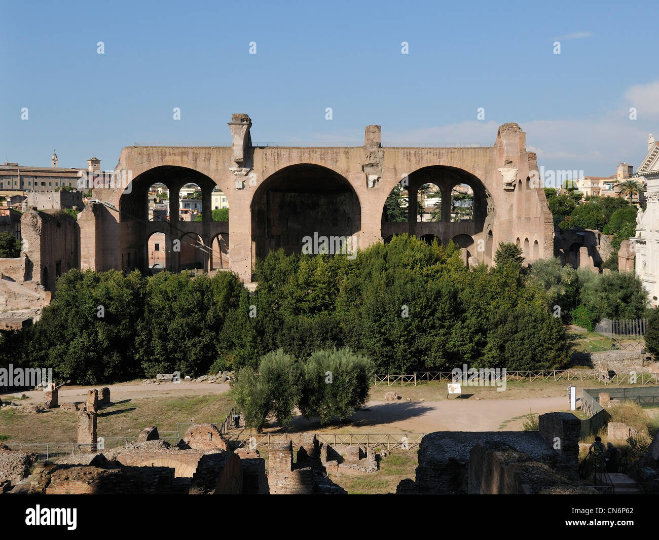 Basilika von Constantine & Maxentius auf dem Forum Romanum, Rom. Stockfoto