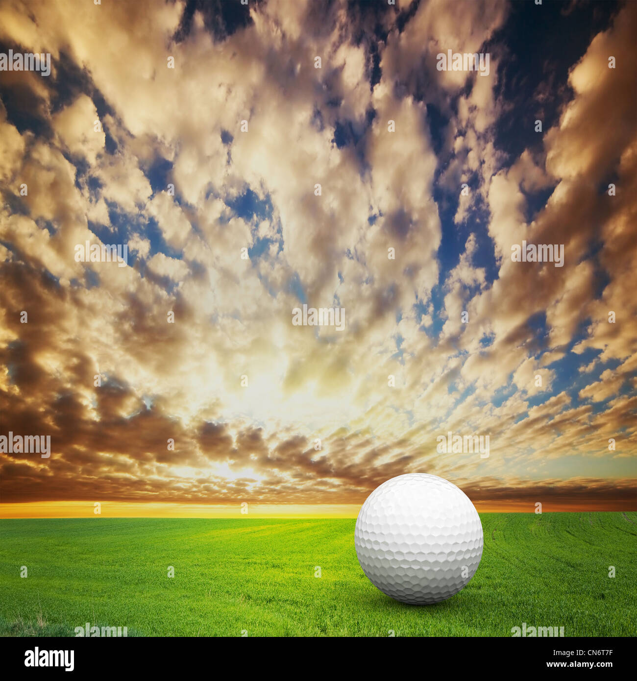 Golf spielen. Ball auf grünen Golfplatz bei Sonnenuntergang Stockfoto