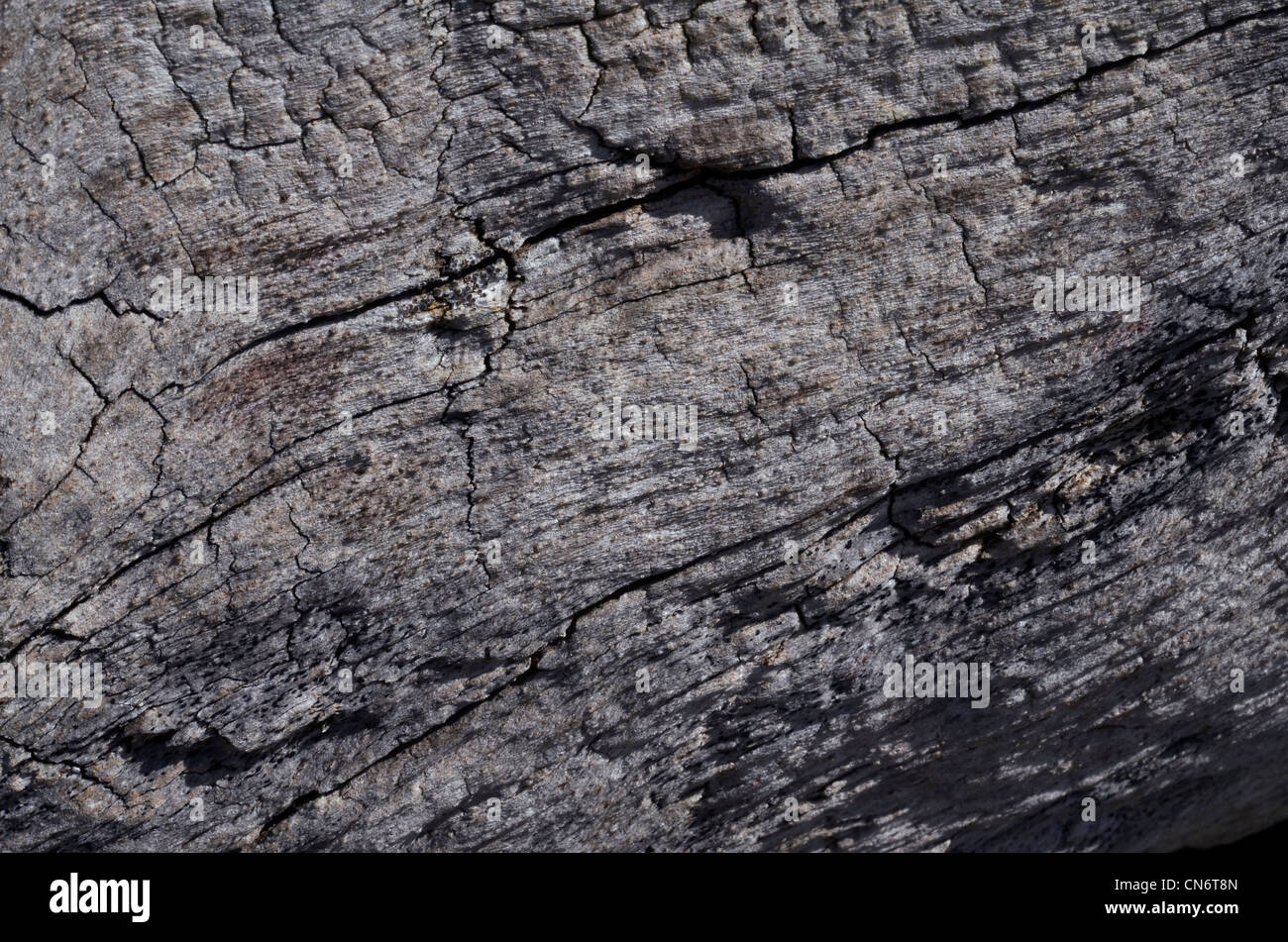 Risse In Holz Stockfotos und -bilder Kaufen - Alamy