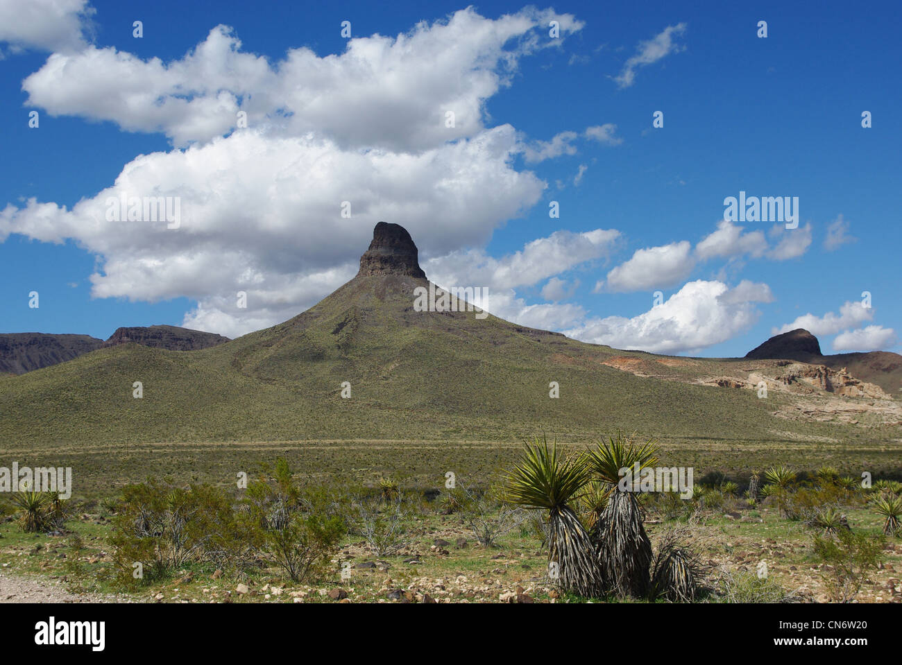 Yucca, Berge, Wolken und blauer Himmel in der Nähe von Oatman, Arizona Stockfoto