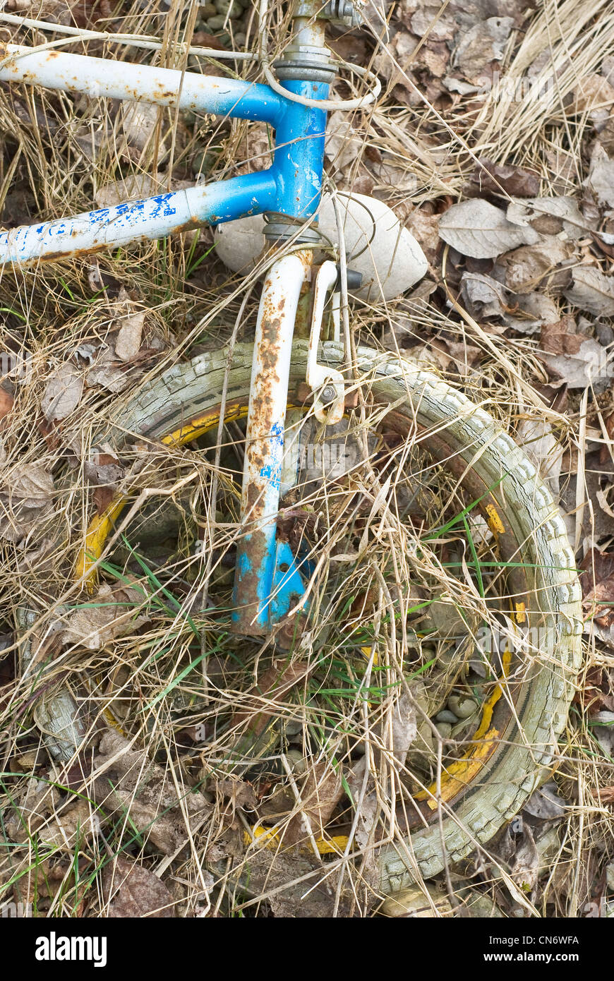 Alte und verlassene Fahrrad als alltägliche Umweltverschmutzung Stockfoto