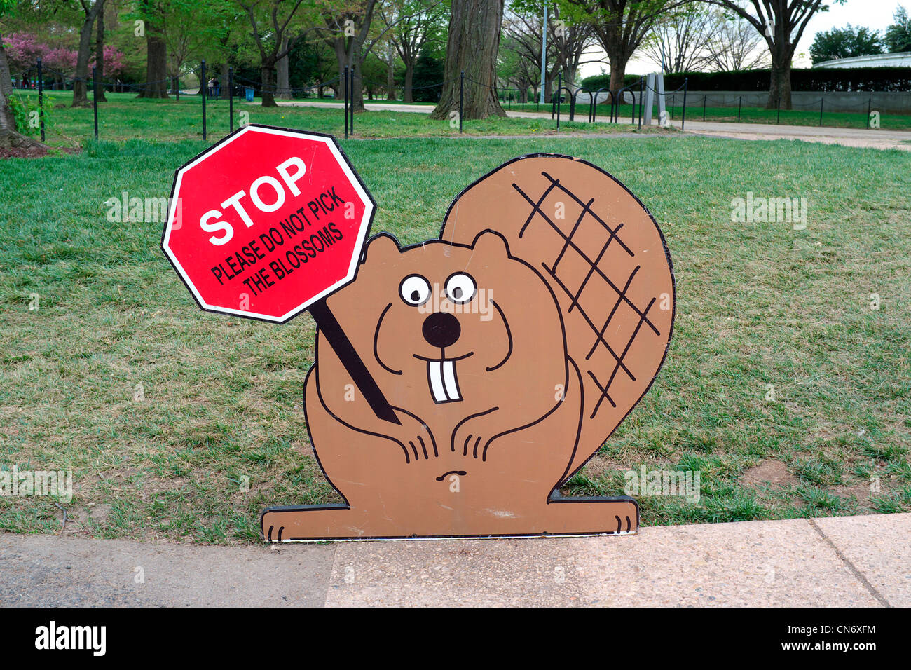 Streifenhörnchen halten ein Stop bitte nehmen nicht die Blüten-Zeichen bei Cherry Blossom Festival in Washington DC Stockfoto