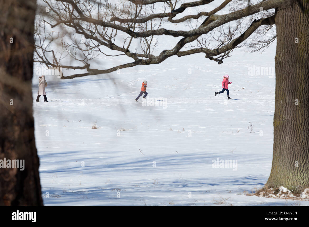 Kinder liefen im Catherine Park. Winter fun FunTSARSKOIE SELO, PUSCHKIN, Sankt-Petersburg Stockfoto