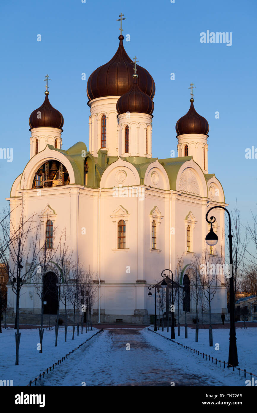 Kathedrale des Heiligen Märtyrers St. Catherine TSARSKOyE SELO, PUSCHKIN, Sankt-Petersburg Stockfoto
