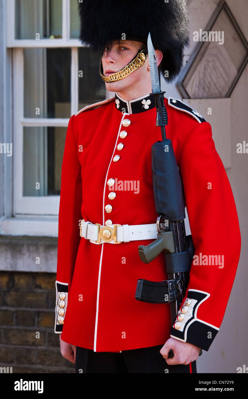 Irische Gardist im Clarence house Stockfoto