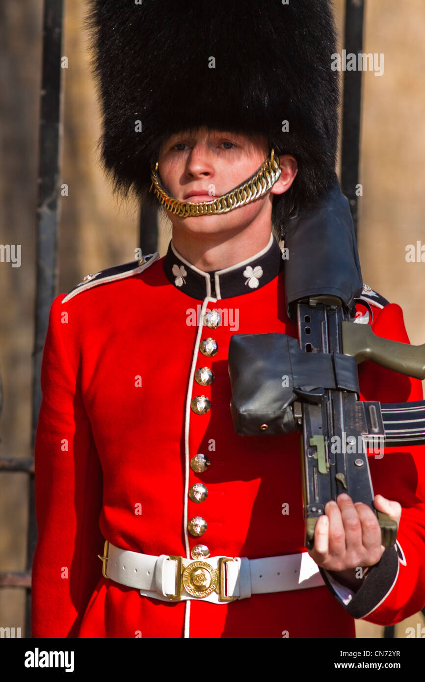 Irische Gardist im Clarence house Stockfoto