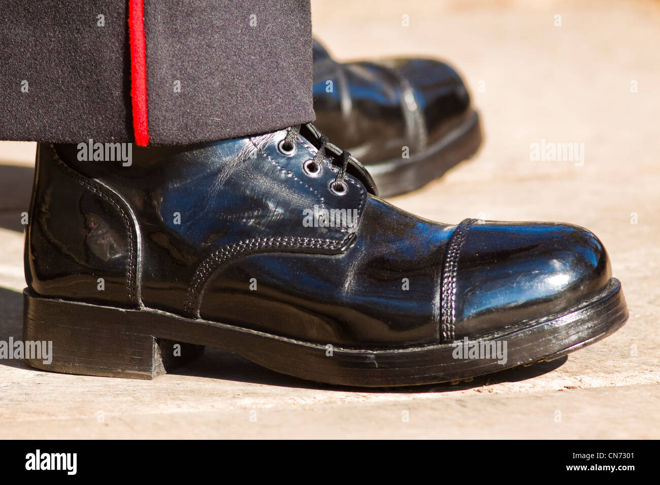 Irische Gardist im Clarence house Stockfoto