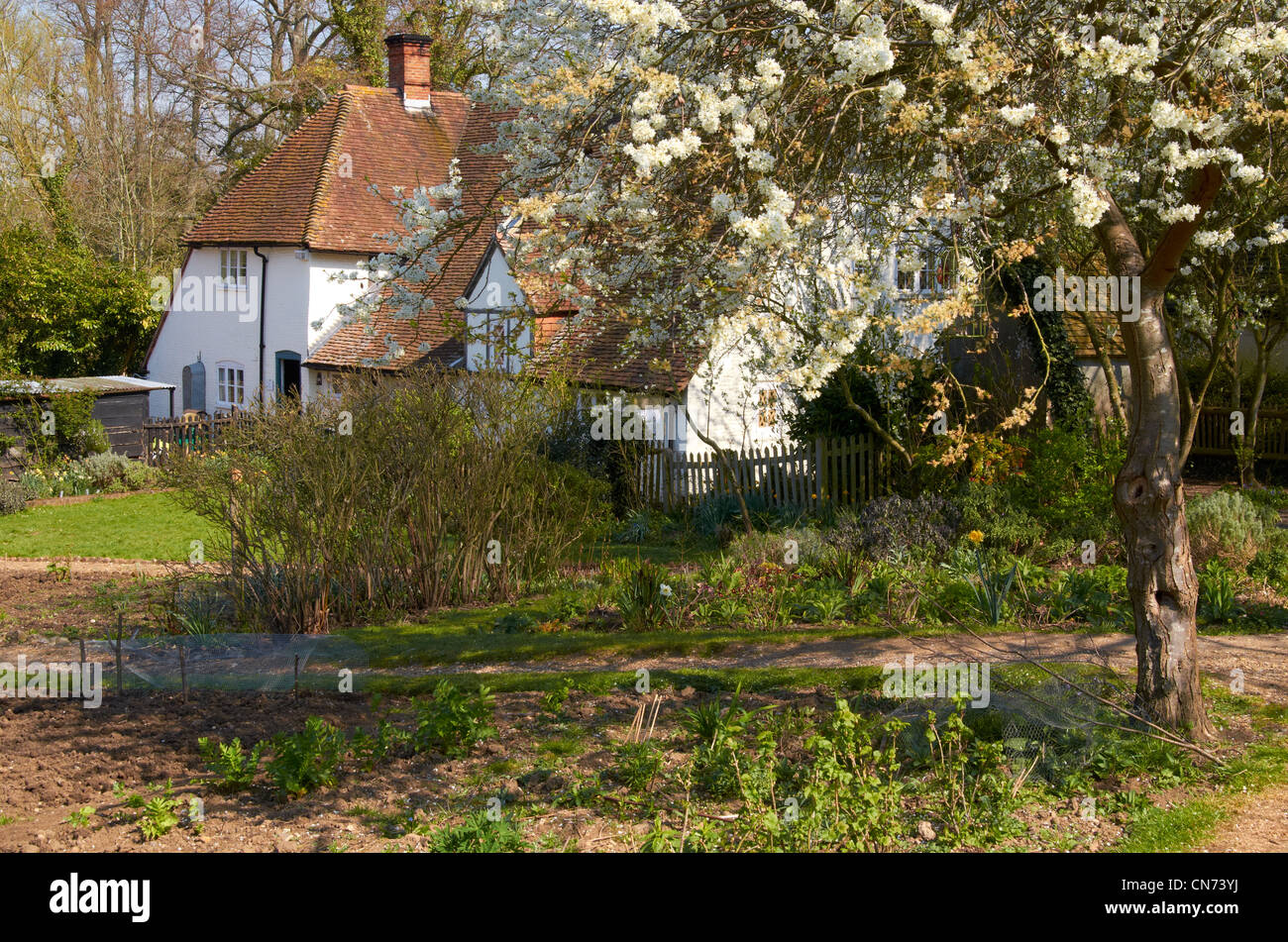 Bauernhaus und Gemüsegarten im zeitigen Frühjahr, Manor Farm Museum, Hampshire, England. Stockfoto