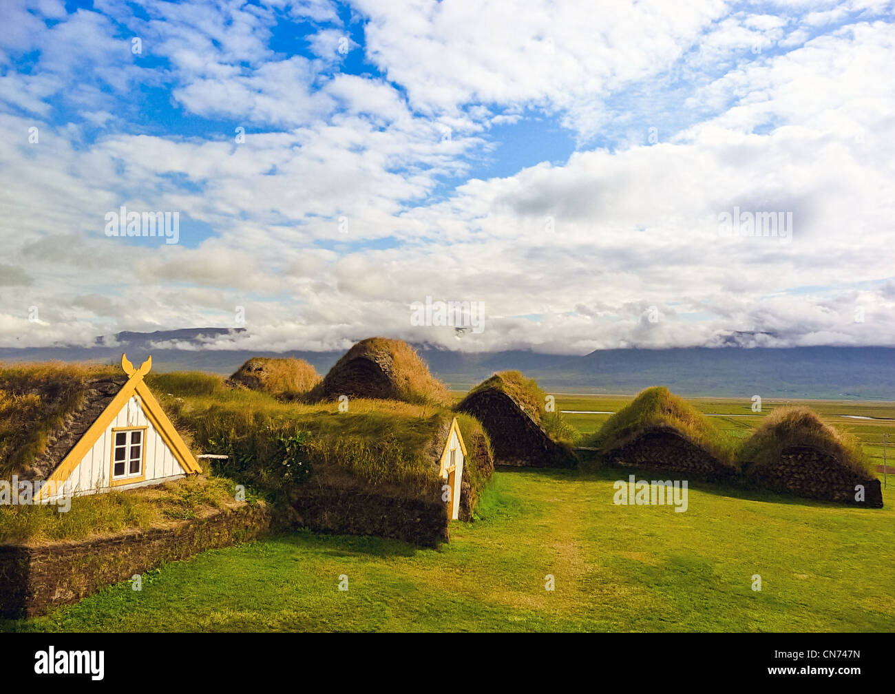 Traditionell gelb Island begrünt Dach Gehäuse mit grünen Rasen Stockfoto