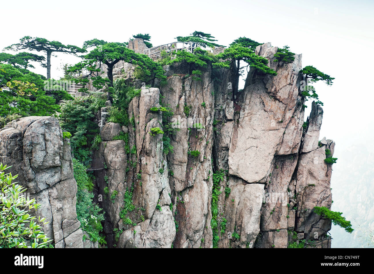 Huangshan Berggipfel mit Bäumen in China, Sacred gelben Berg Stockfoto
