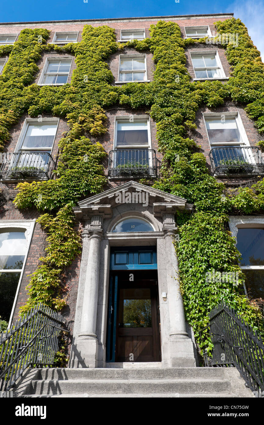 17 St.-Stephans grün, Dublin-Heimat der Kildare Street Club Stockfoto