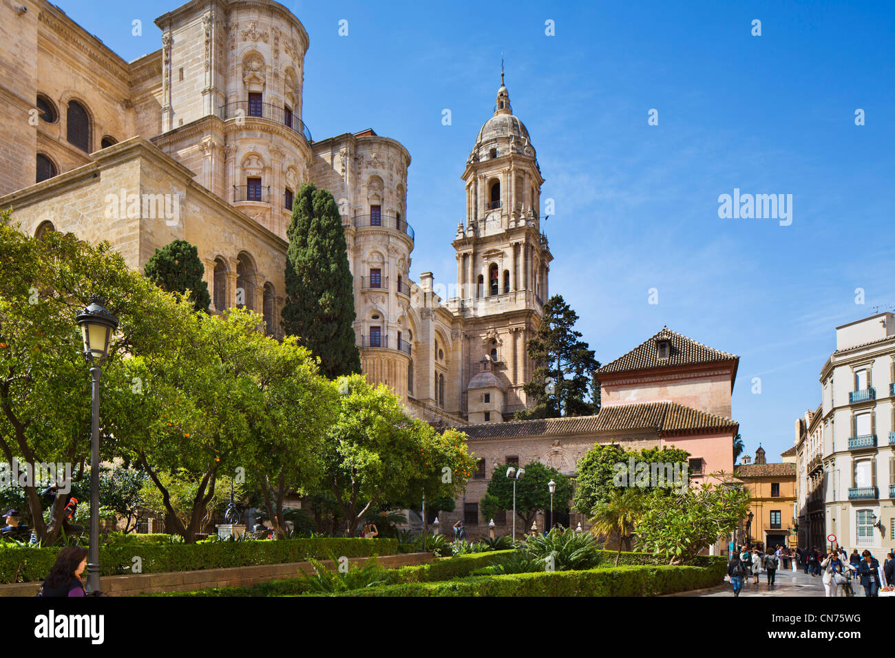 Malaga Kathedrale, Malaga, Andalusien, Spanien Stockfoto