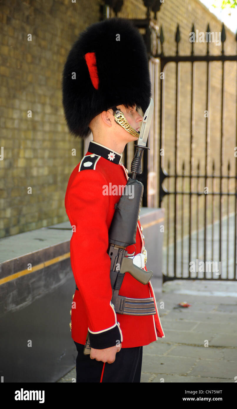 Ein Coldstream Guard Royal Guard Aufgaben im Zentrum von London. Intelligente Soldat in scharlachroten Tunika mit Gewehr und Bajonett Stockfoto