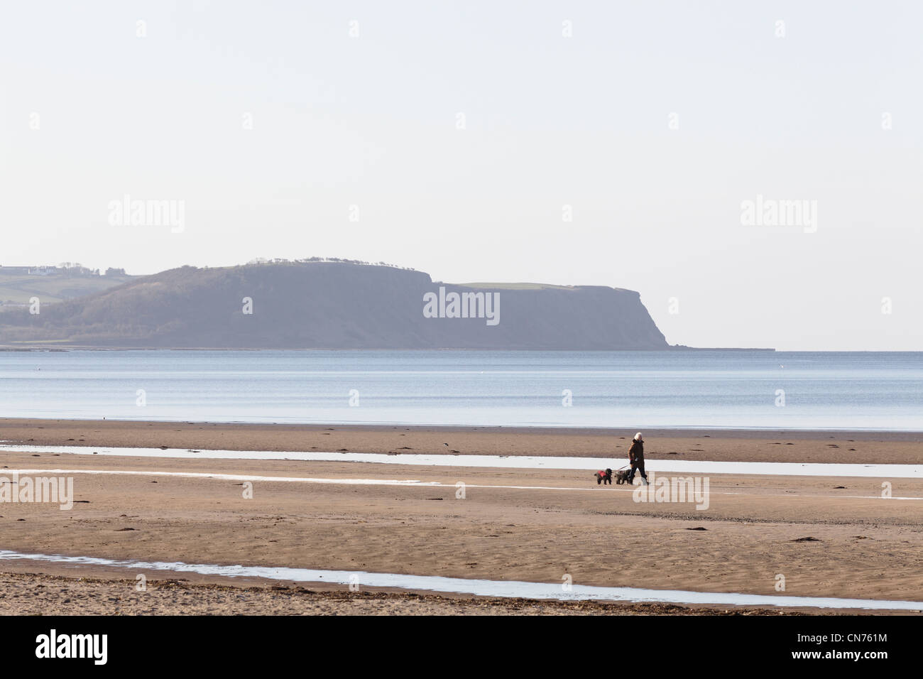 Blick nach Süden über Ayr Strand auf die Köpfe von Ayr in Ayrshire, Schottland Stockfoto