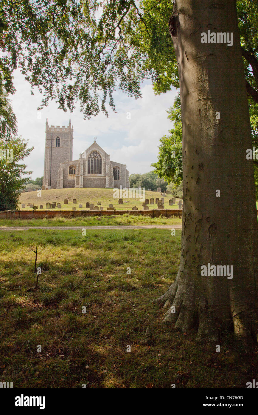 Kirche St. Withburga Holkham Norfolk umrahmt von Bäumen Stockfoto