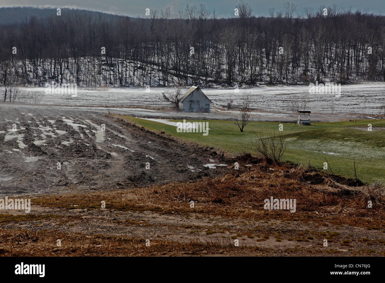Der Morgennebel steigt. Es ist Frühjahr in den Bereichen und weiter auf sehen wir eine alte Scheune, ein Wunschbrunnen und den Wald. Stockfoto