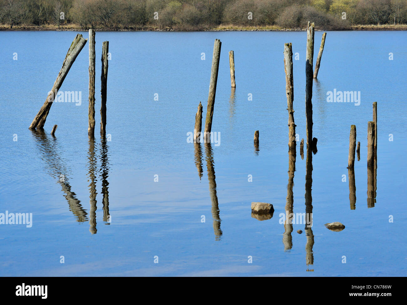 Holzpfähle. Derwentwater, Keswick, Nationalpark Lake District, Cumbria, England, Vereinigtes Königreich, Europa. Stockfoto