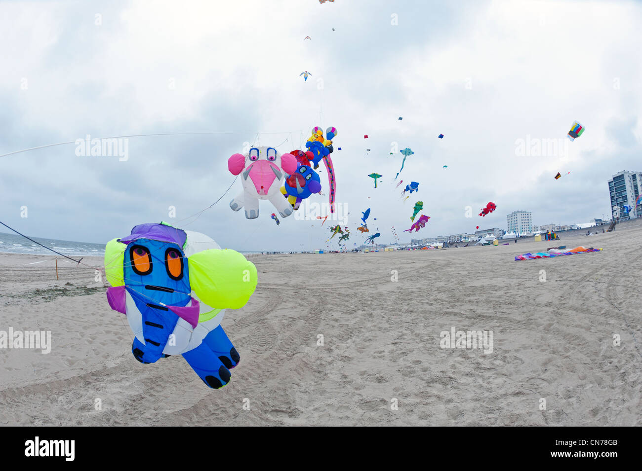 Berck Sur Mer, internationalen Drachenfestival, Cerfs Volants Stockfoto