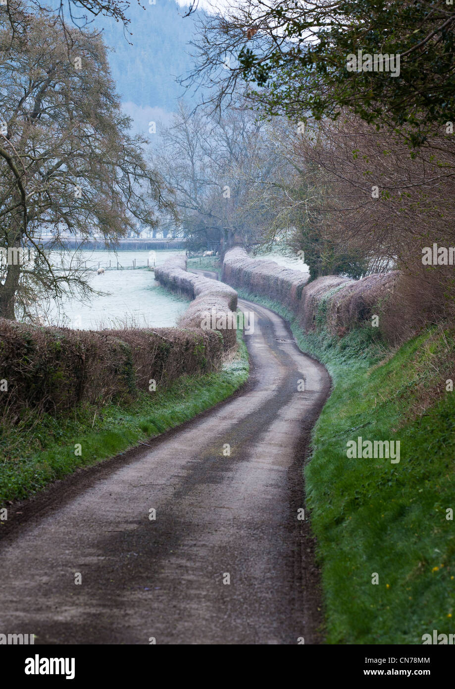 Feldweg an einem frostigen Morgen in Shropshire, England Stockfoto