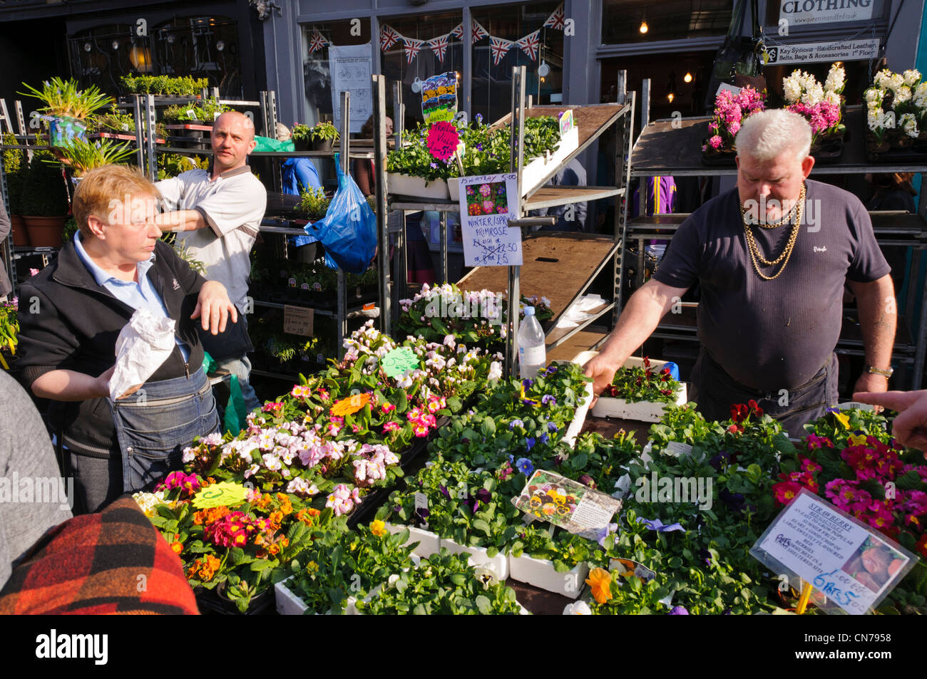 Eine Blume-Stall in der Columbia Road Flower Market, East London, UK Stockfoto