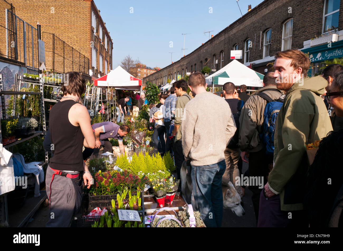 Menschen, die langsam zu Fuß durch sehr belebten Sonntag Columbia Road Flower Market, East London, UK Stockfoto