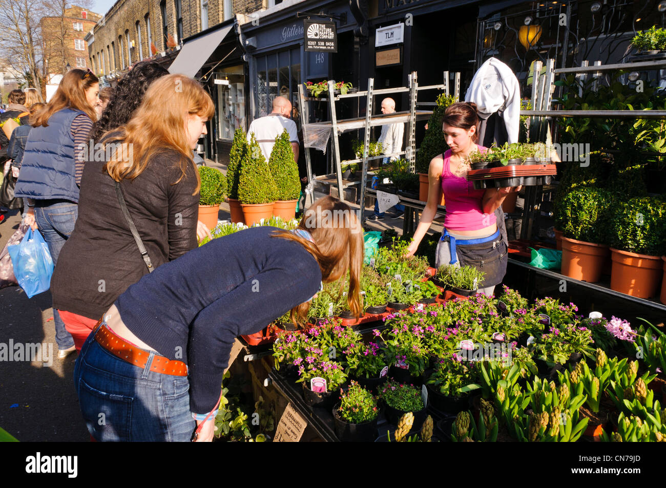 Kunden Surfen an einem Stall in Sonntag Columbia Road Flower Market, East London, UK Stockfoto