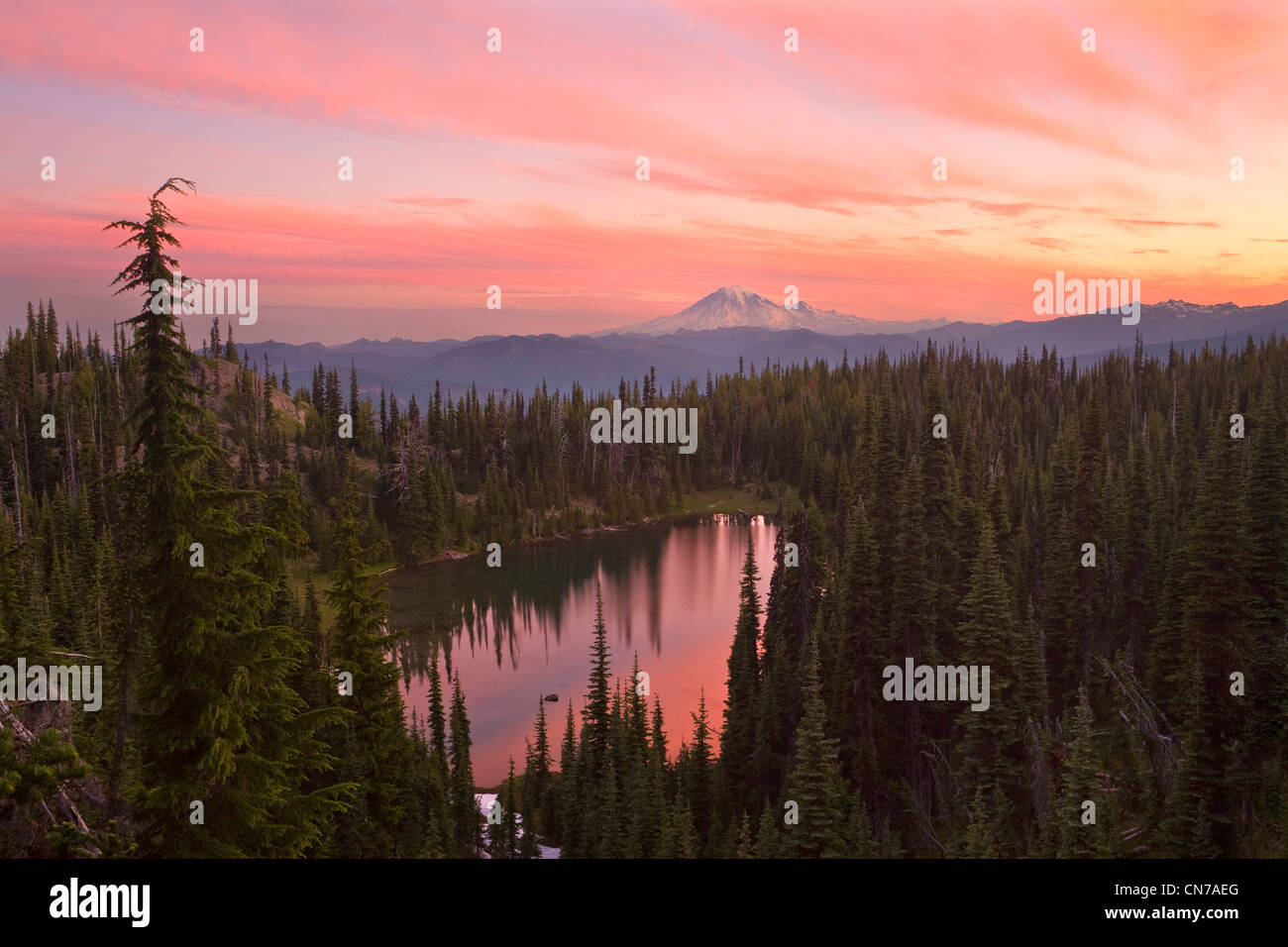 Ansicht des Sonnenaufgangs und des Mt. Rainier vom Mt. Adams Wildnis, Washington, USA. Sommer Stockfoto