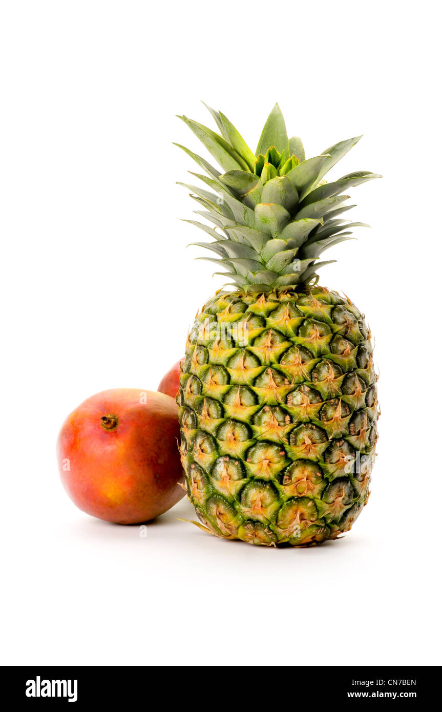 frische Ananas und Mangos auf weißem Hintergrund Stockfoto