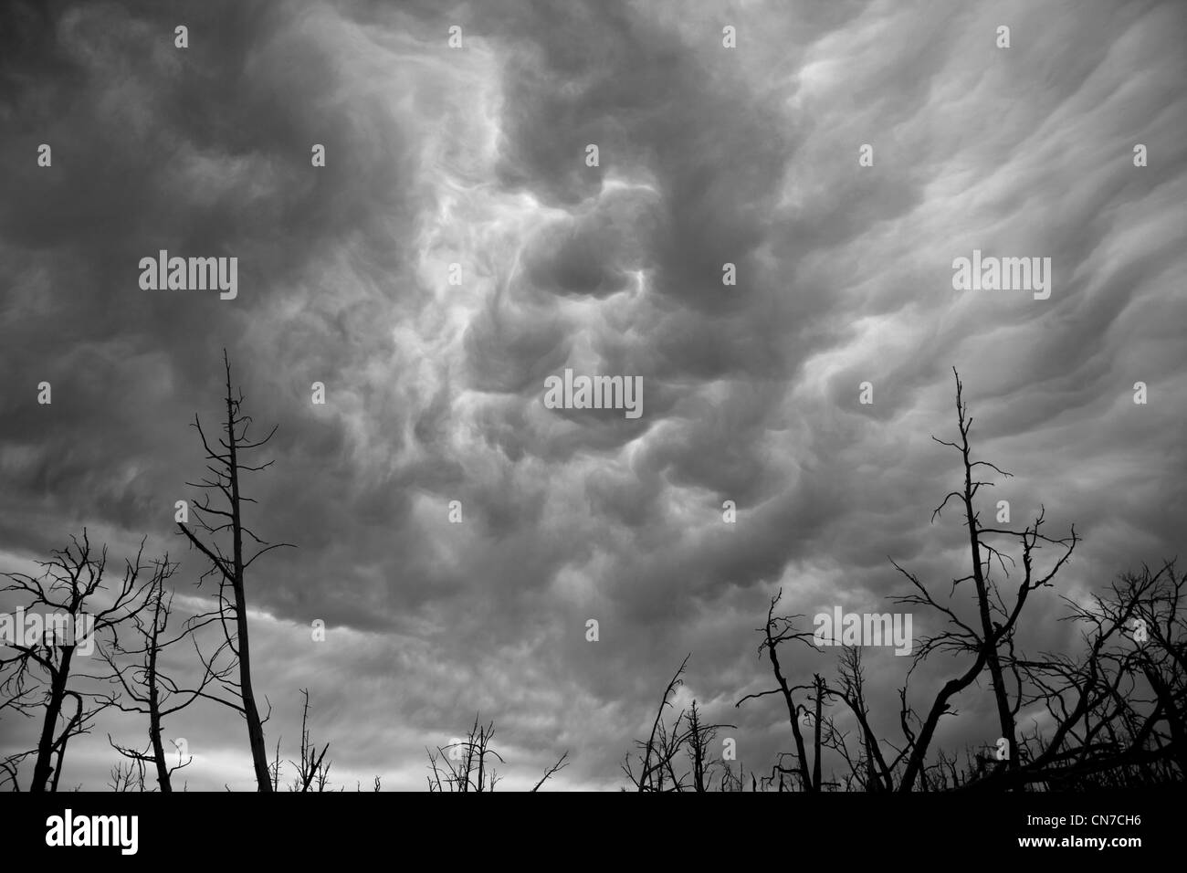 Asperatus Wolken Haarp