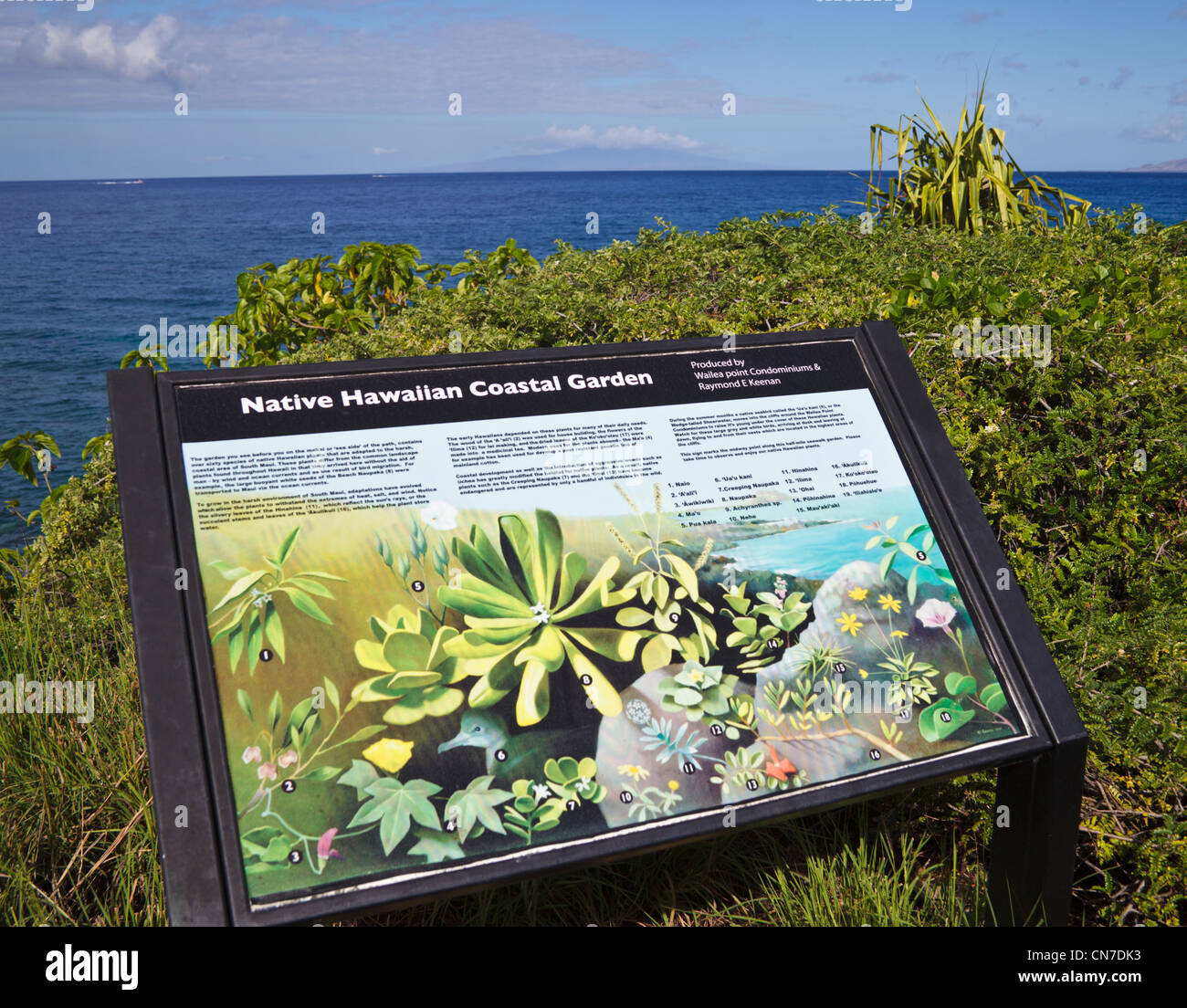 Interpretierende Zeichen über Native Hawaiian Coastal Garten entlang der Küstenweg von Wailea Stockfoto