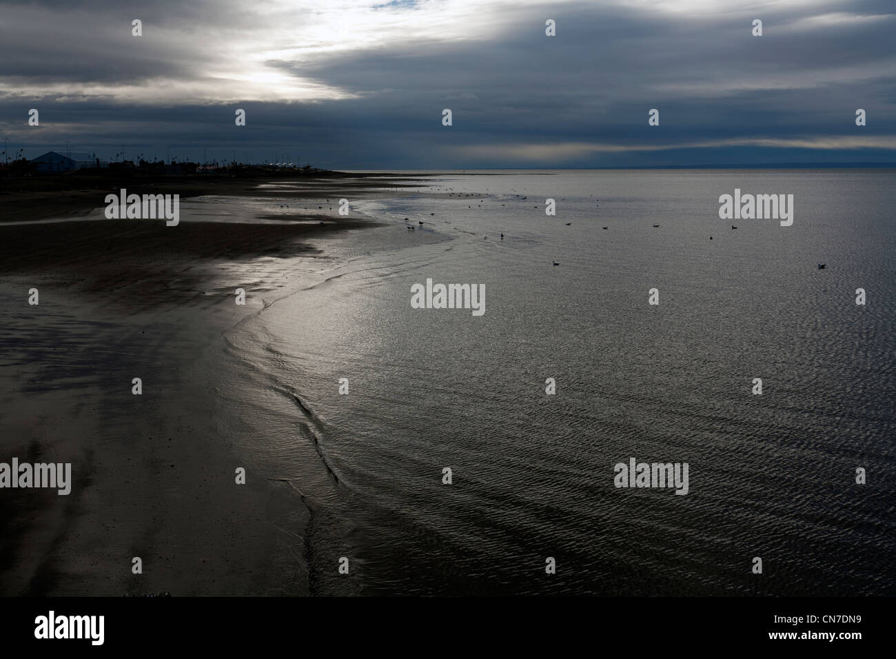 Punta Arenas, Magallanes Straße, Patagonien, Chile, Südamerika Stockfoto