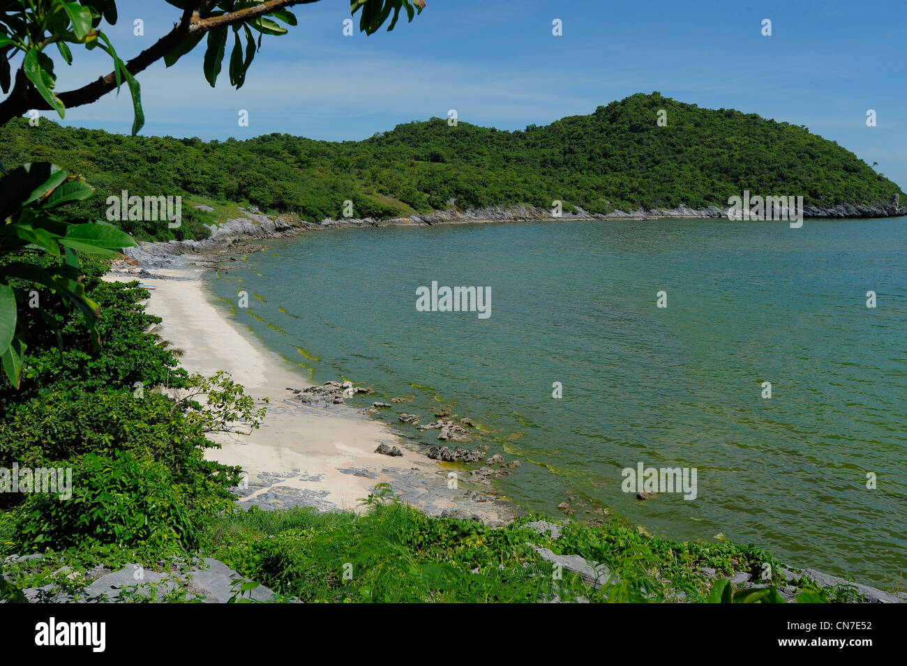 Lichtstreuung von Partikeln von Sedimenten und Mikroorganismen macht Blick Seegrün, Koh Sichang, thailand Stockfoto