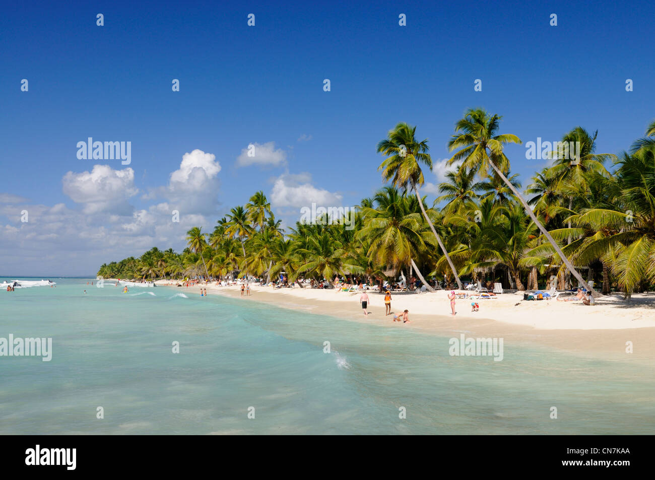 Dominikanische Republik, Halbinsel Samana, Nationalpark Del Este, Isla Saona, Strand und Kokos Bäume auf der Insel Saona Stockfoto