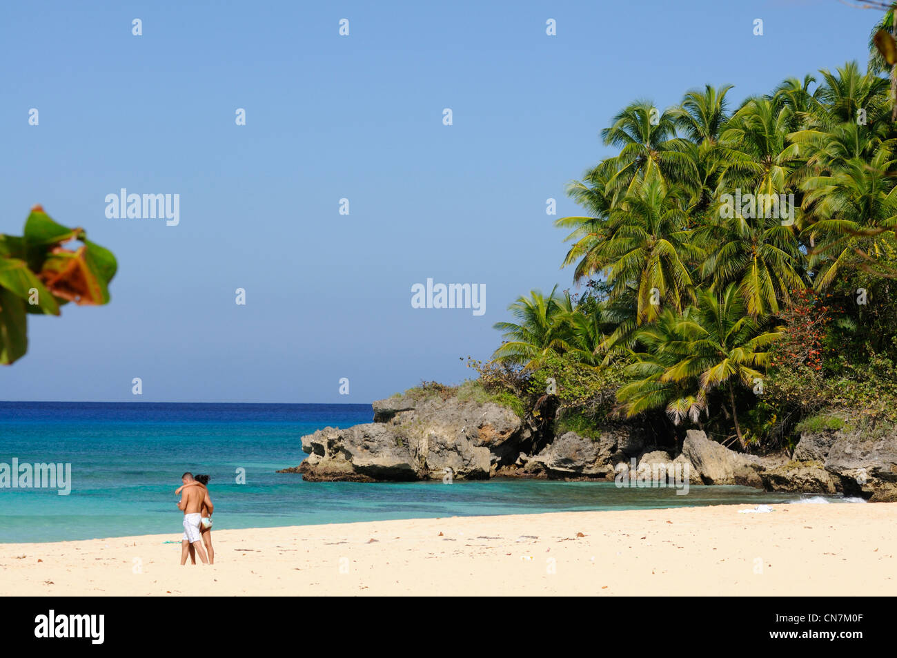 Dominikanische Republik, Rio San Juan Provinz, Playa Grande Strand große wilde und erhaltenen Stockfoto