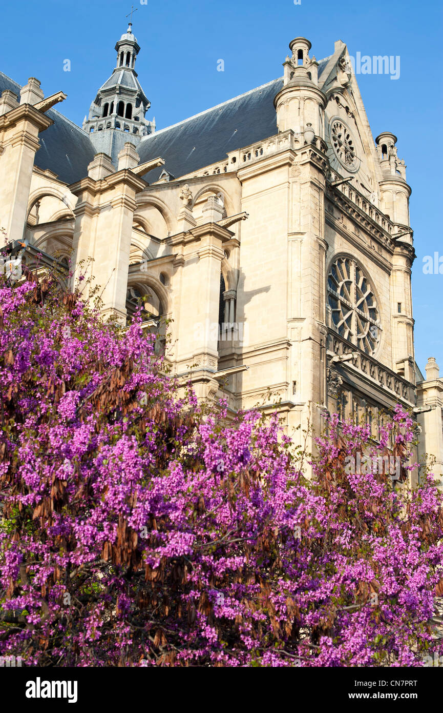 Frankreich, Paris, Les Halles Bezirk, der Kirche St. Eustache im Frühjahr Stockfoto