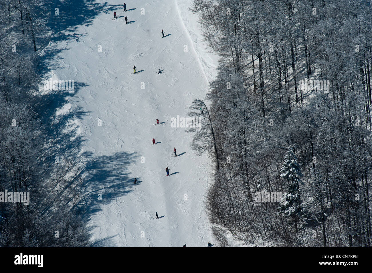 Frankreich, Haut Rhin, Vallée de Munster, Landschaft der Wappen von Vogesen im winter Stockfoto