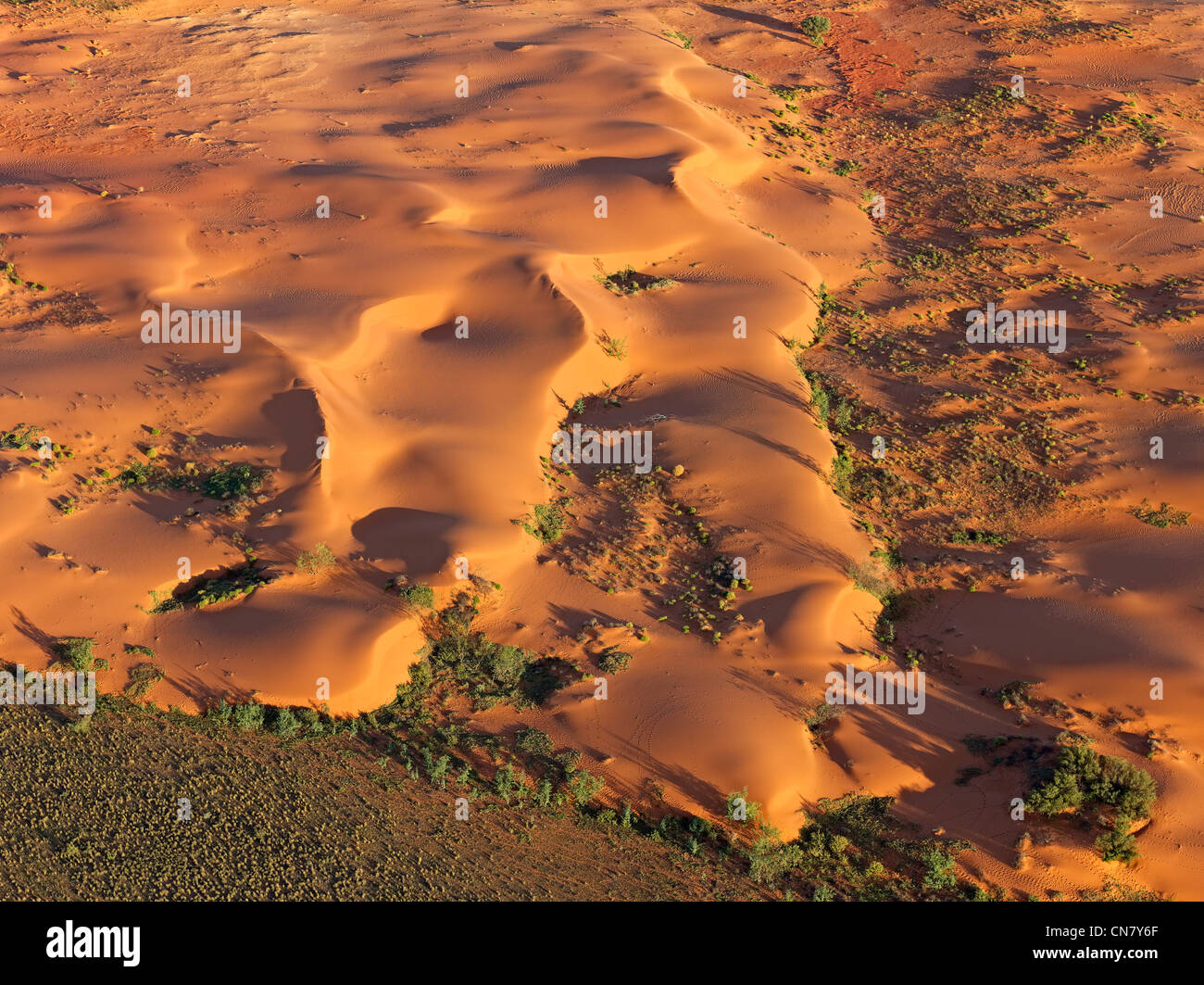 Tiefflug Luftaufnahme der roten Sanddünen, Outback NSW, Australien Stockfoto