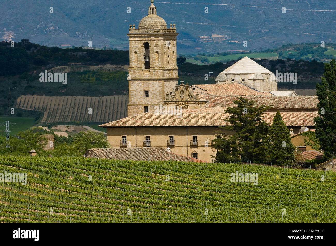 Spanien, Navarra, Irache, das Kloster vom 11. Jahrhundert, inmitten von Irache Weinberg Stockfoto