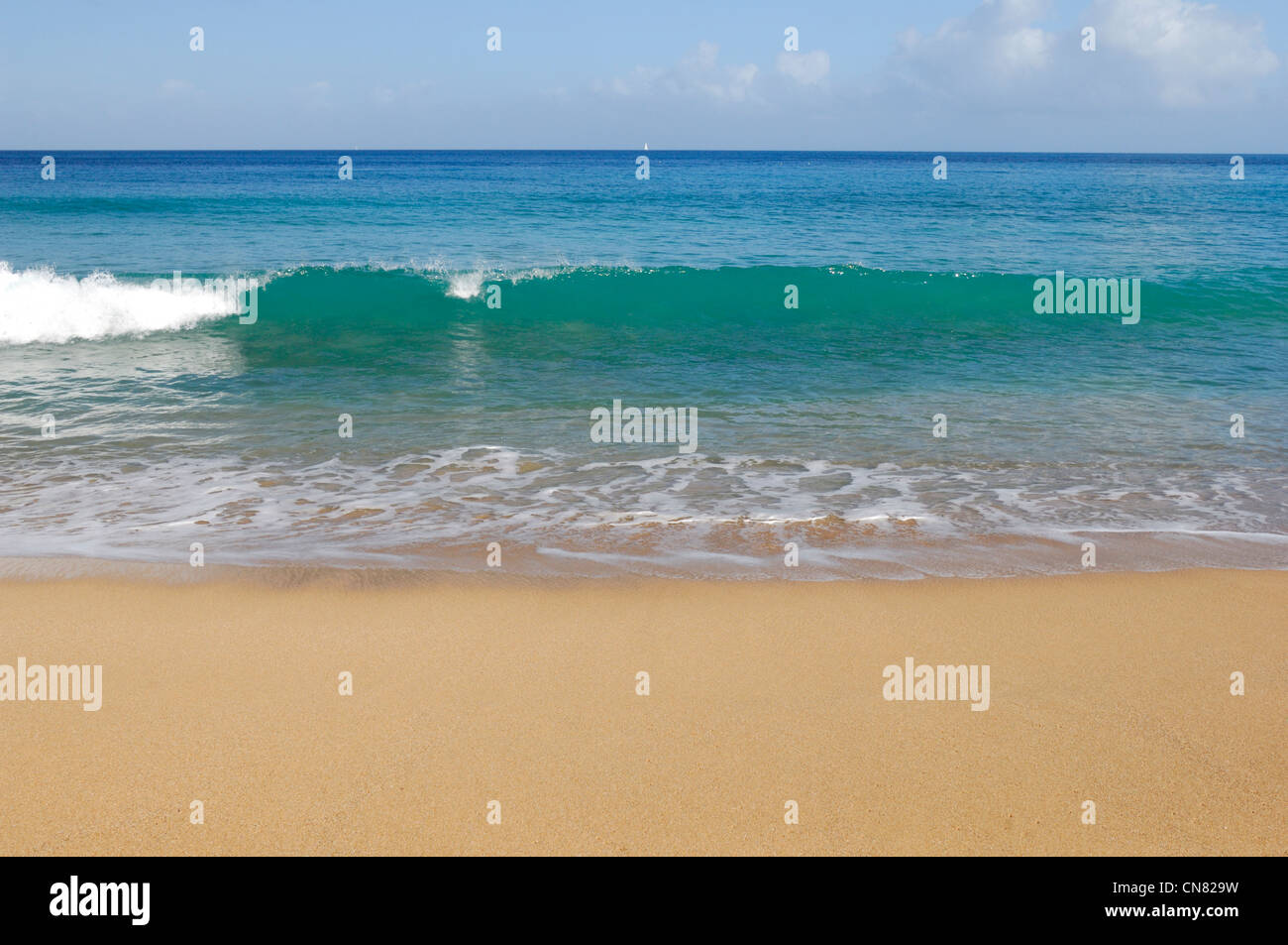 Deshaies, Grande Anse Strand, Basse-Terre, Guadeloupe (Französische Antillen), Frankreich Stockfoto