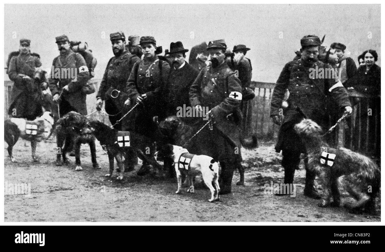 1917 französische Rote Kreuz Hunde verlassen Paris Stockfoto